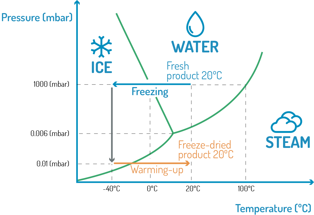freeze-drying-process